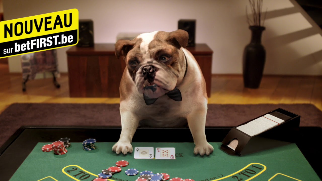 betFIRST Casino table de jeux Lucky cartes jetons